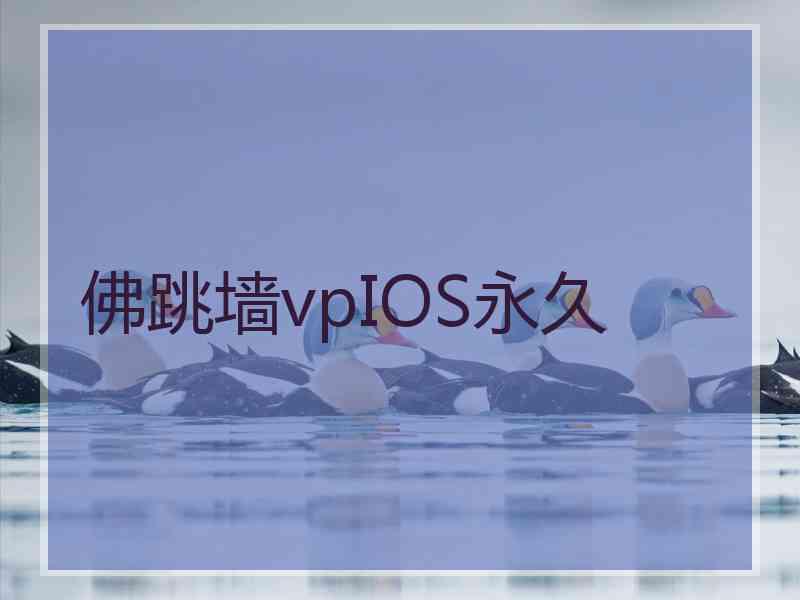 佛跳墙vpIOS永久