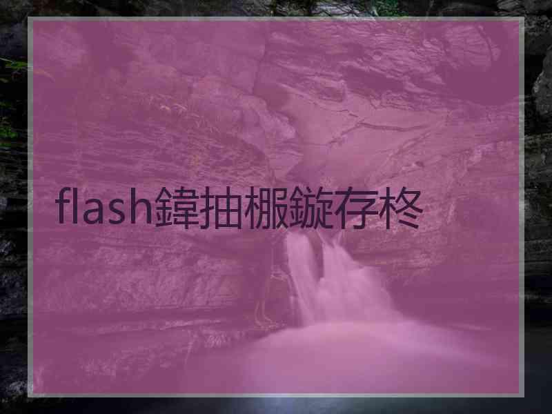 flash鍏抽棴鏇存柊