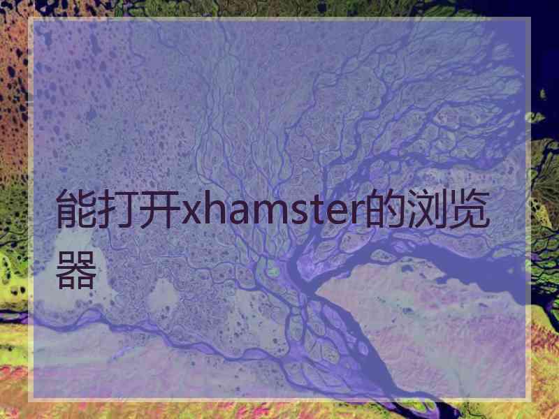 能打开xhamster的浏览器