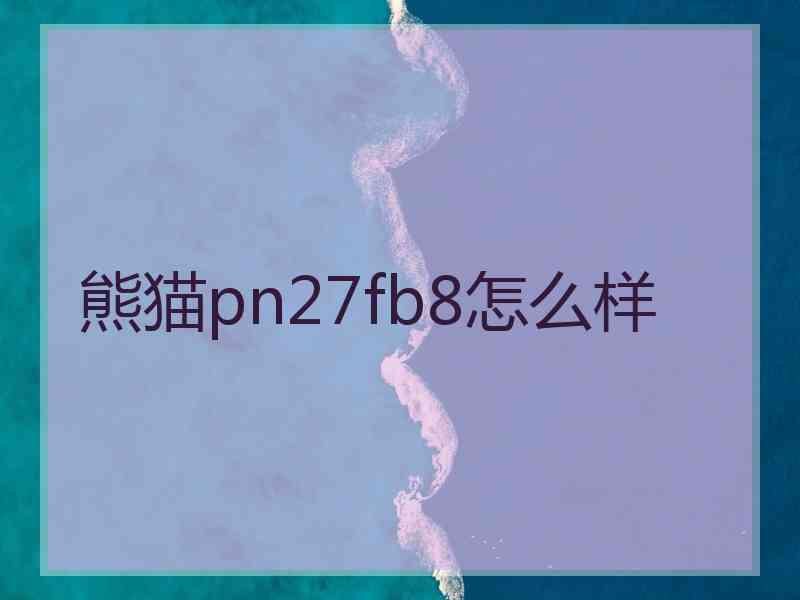 熊猫pn27fb8怎么样