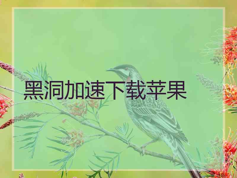 黑洞加速下载苹果