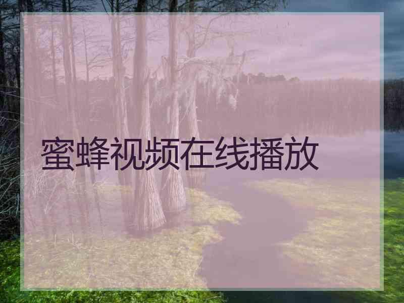 蜜蜂视频在线播放