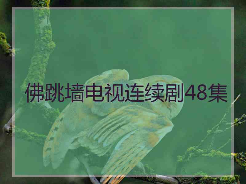 佛跳墙电视连续剧48集