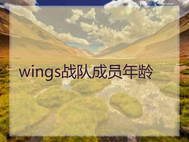 wings战队成员年龄