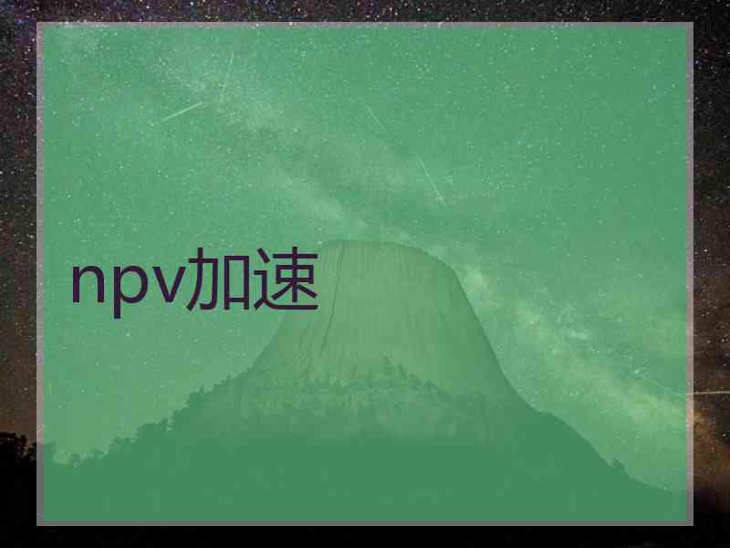 npv加速