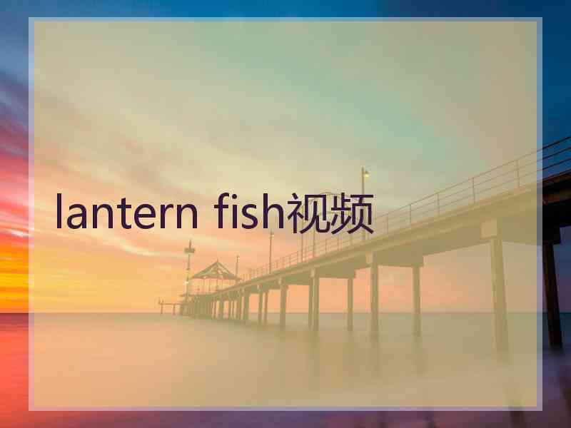 lantern fish视频