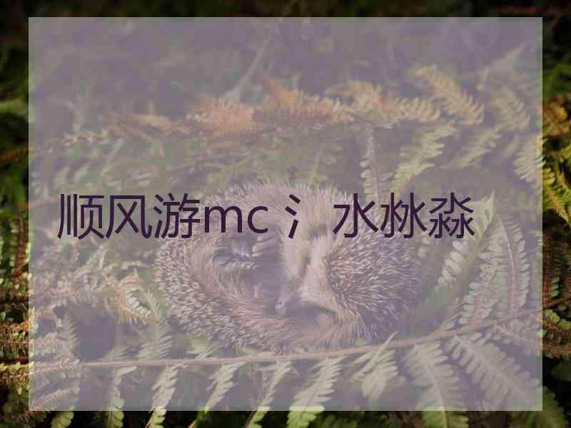 顺风游mc 氵水沝淼