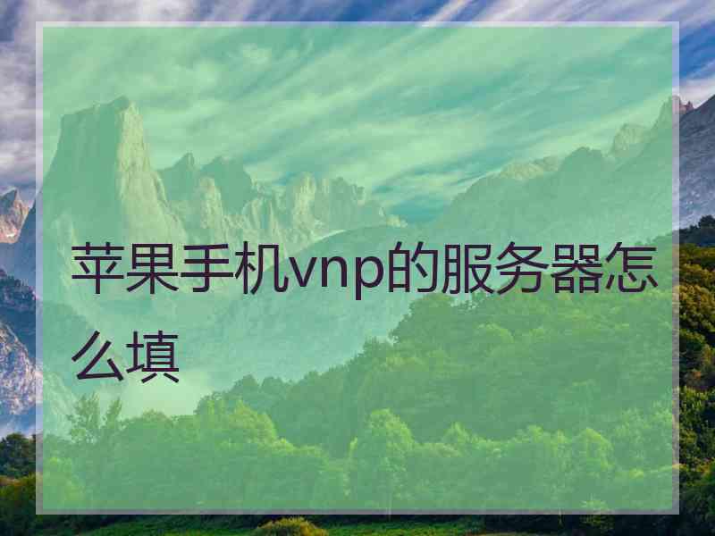 苹果手机vnp的服务器怎么填