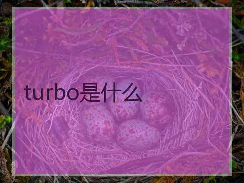 turbo是什么