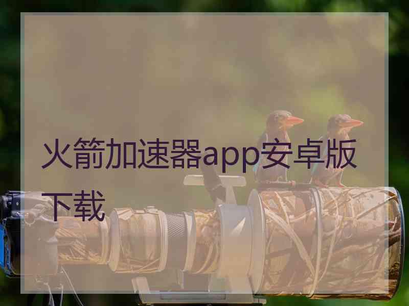 火箭加速器app安卓版下载