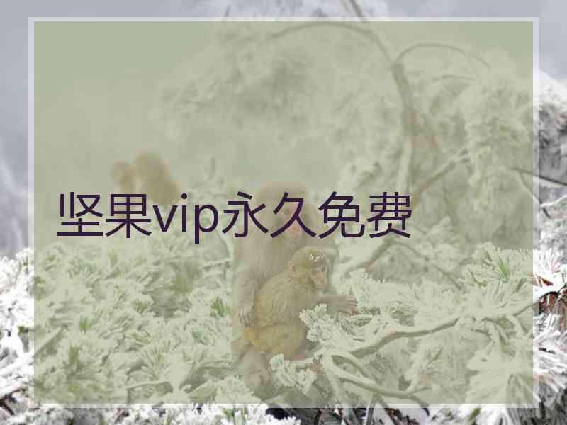 坚果vip永久免费