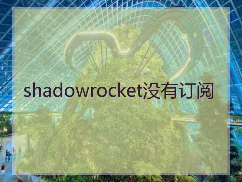 shadowrocket没有订阅