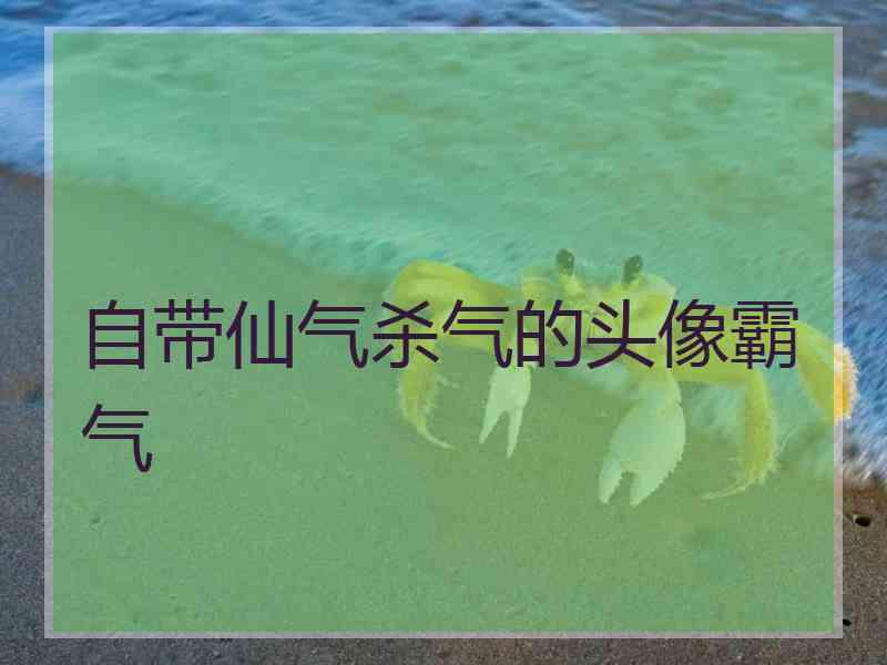 自带仙气杀气的头像霸气