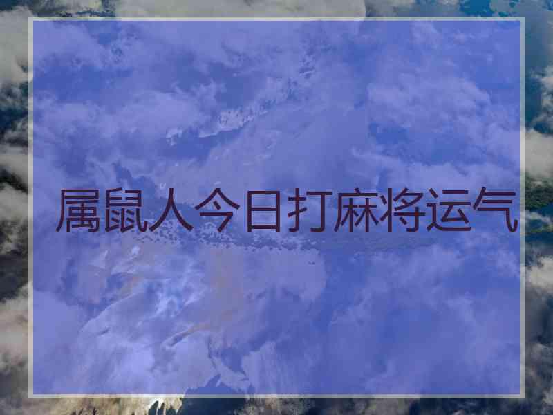 属鼠人今日打麻将运气