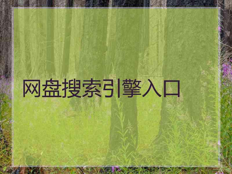 网盘搜索引擎入口