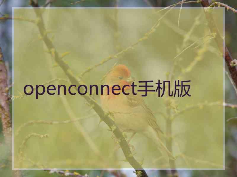 openconnect手机版