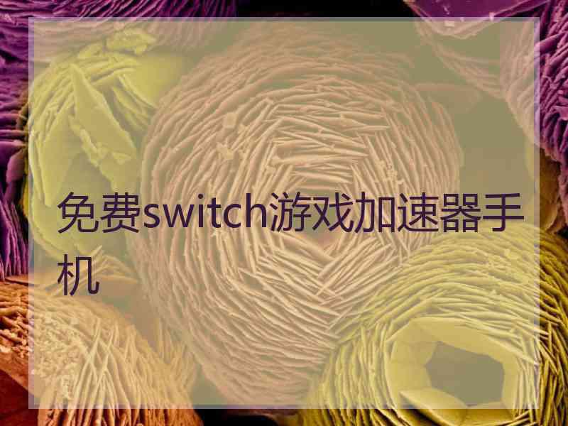 免费switch游戏加速器手机