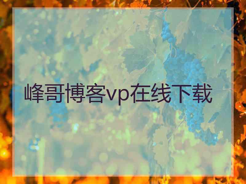 峰哥博客vp在线下载