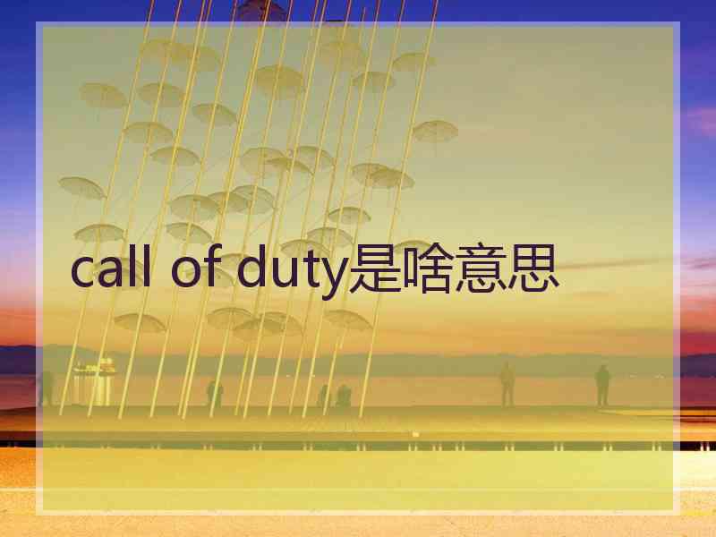 call of duty是啥意思