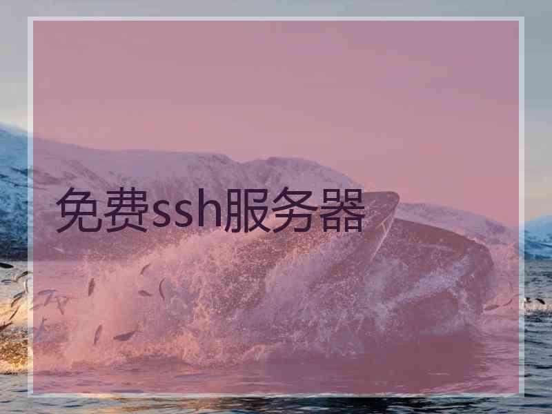 免费ssh服务器