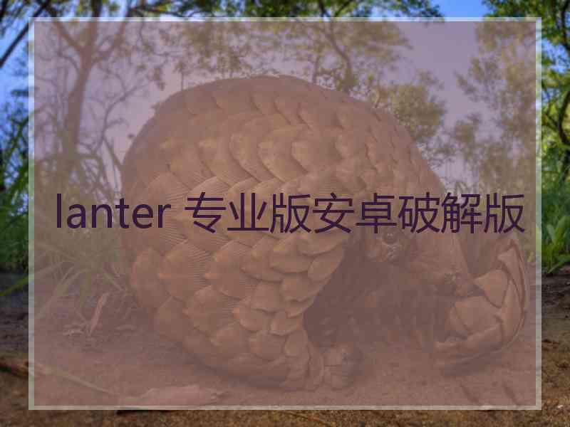 lanter 专业版安卓破解版