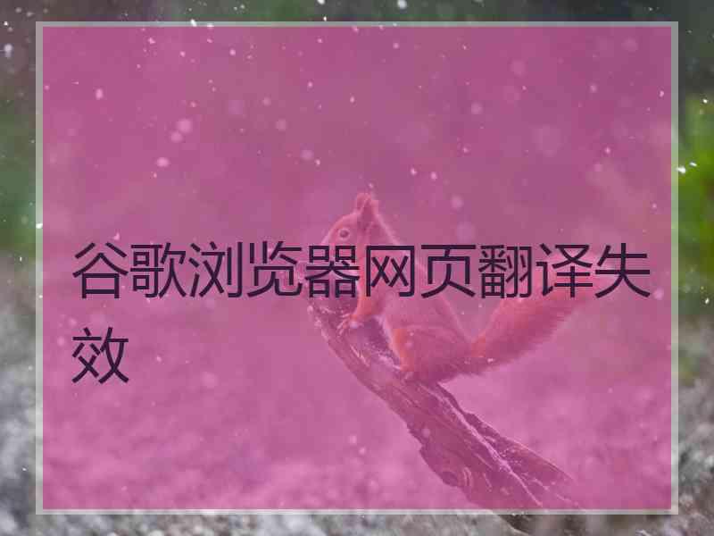 谷歌浏览器网页翻译失效