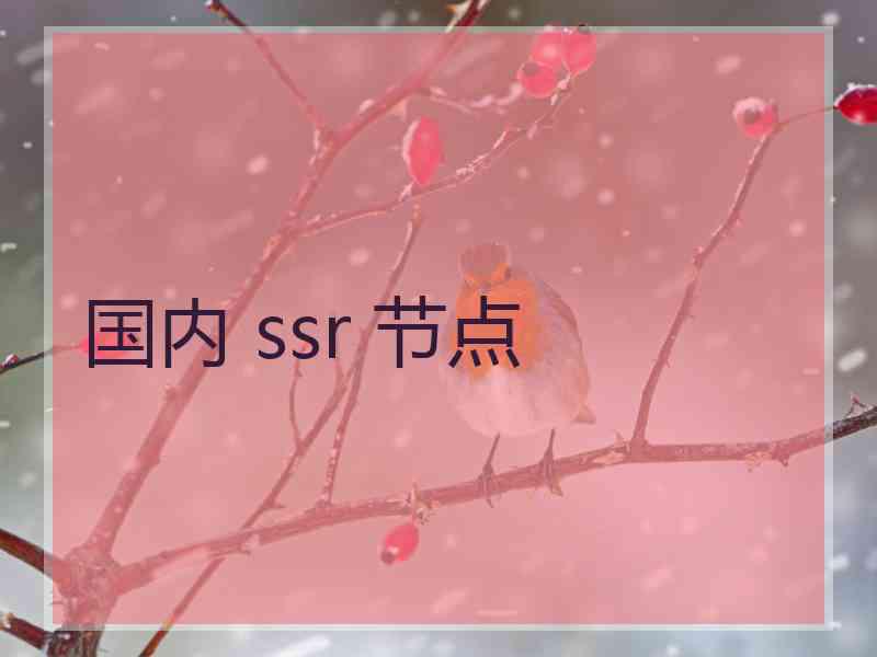 国内 ssr 节点