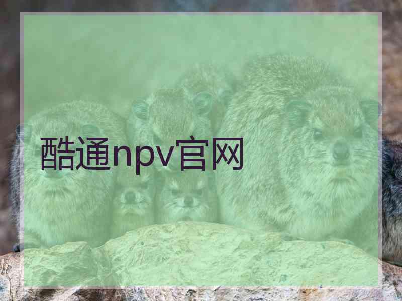 酷通npv官网