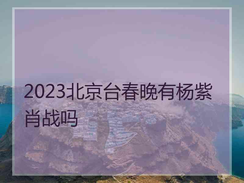 2023北京台春晚有杨紫肖战吗