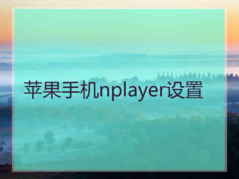 苹果手机nplayer设置