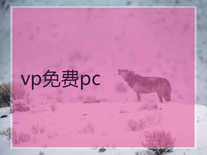 vp免费pc