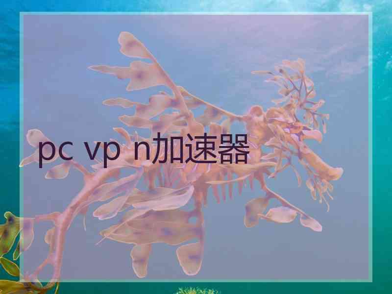 pc vp n加速器