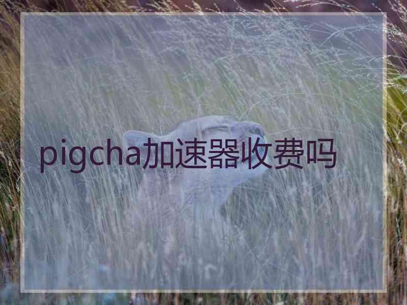 pigcha加速器收费吗