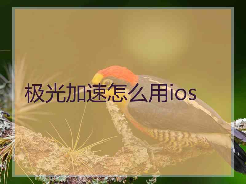 极光加速怎么用ios