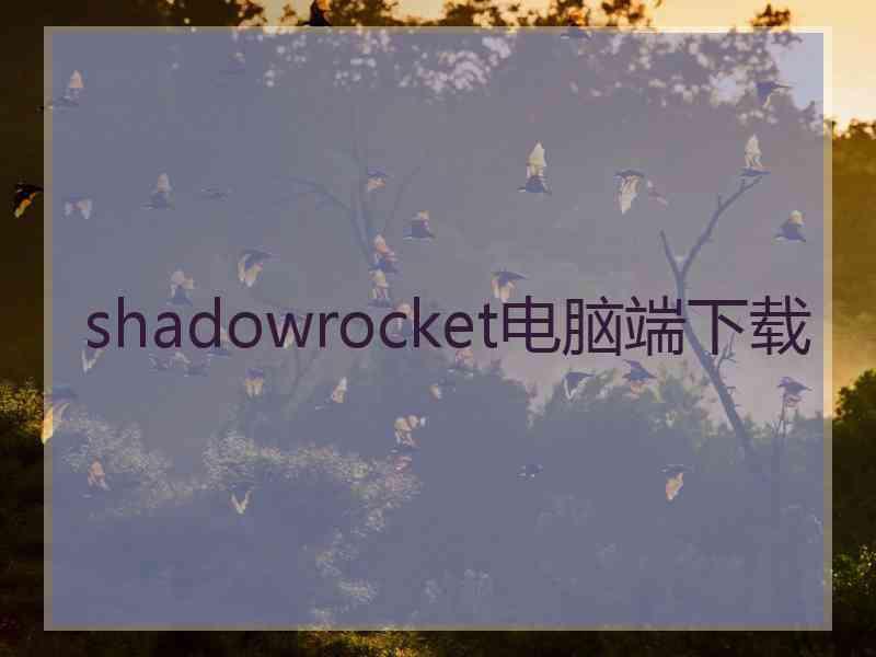 shadowrocket电脑端下载