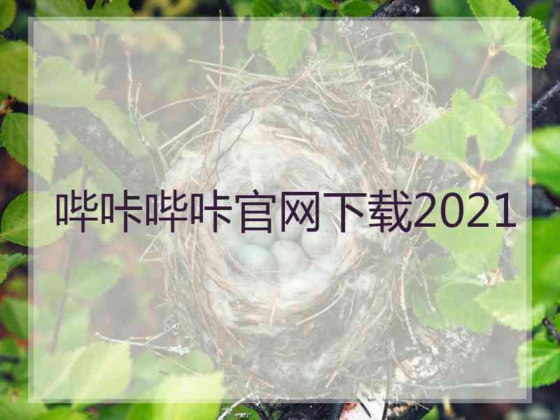 哔咔哔咔官网下载2021