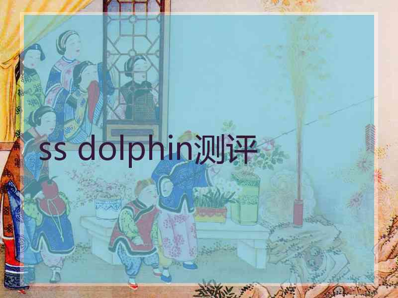 ss dolphin测评