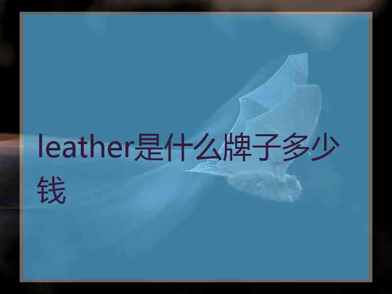 leather是什么牌子多少钱