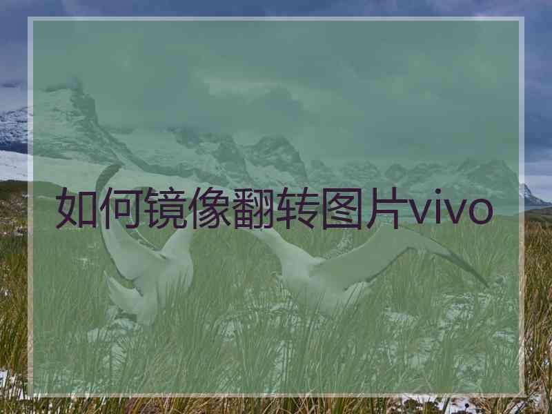 如何镜像翻转图片vivo