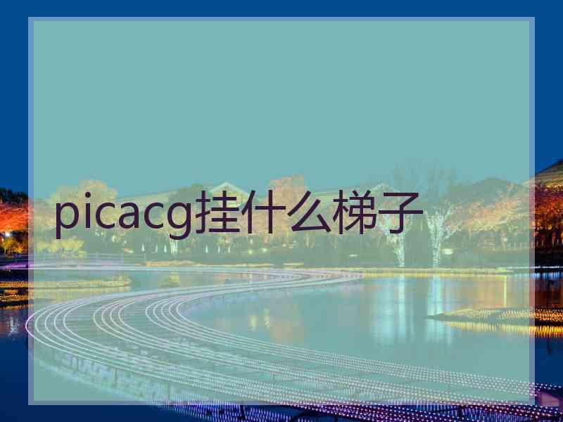 picacg挂什么梯子