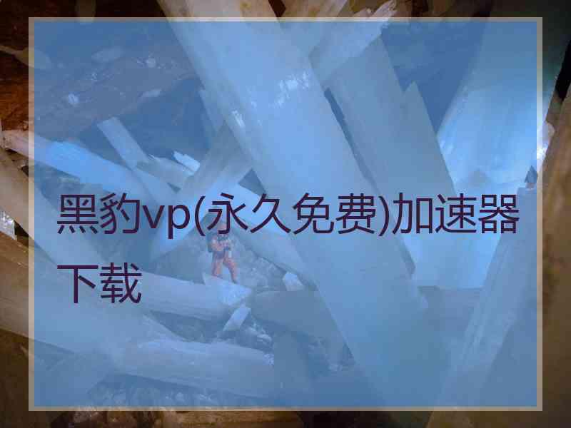 黑豹vp(永久免费)加速器下载