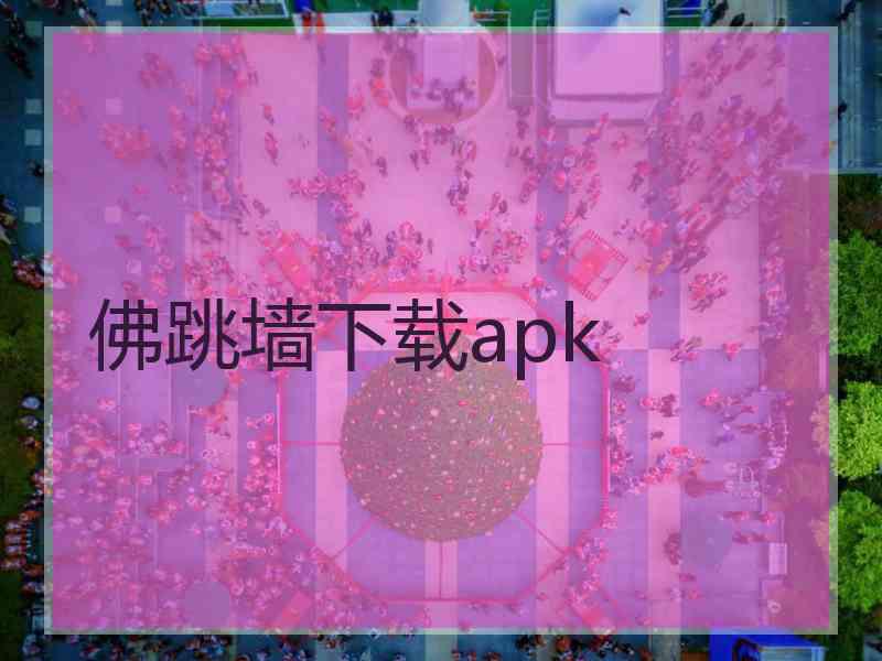 佛跳墙下载apk