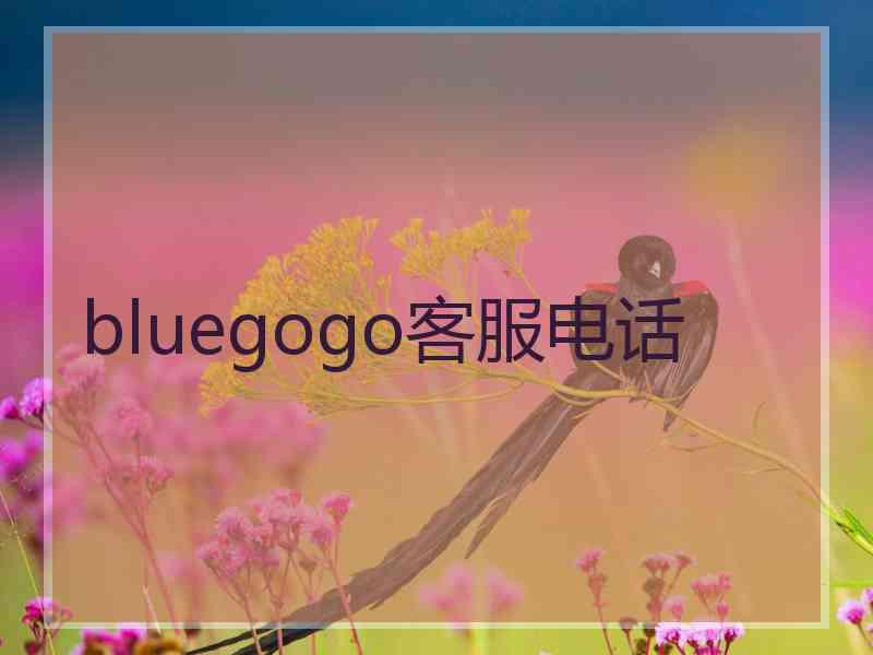 bluegogo客服电话