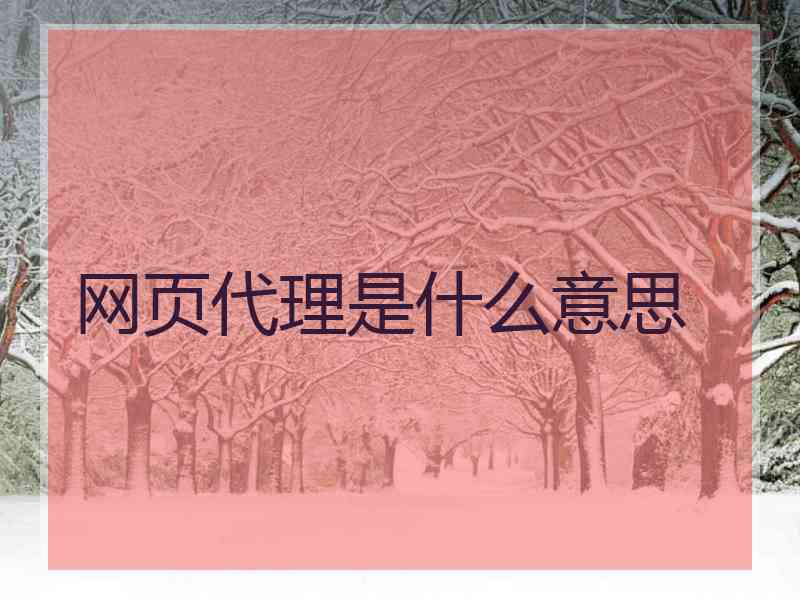 网页代理是什么意思