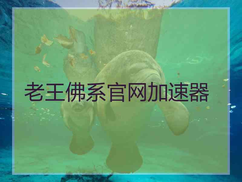 老王佛系官网加速器