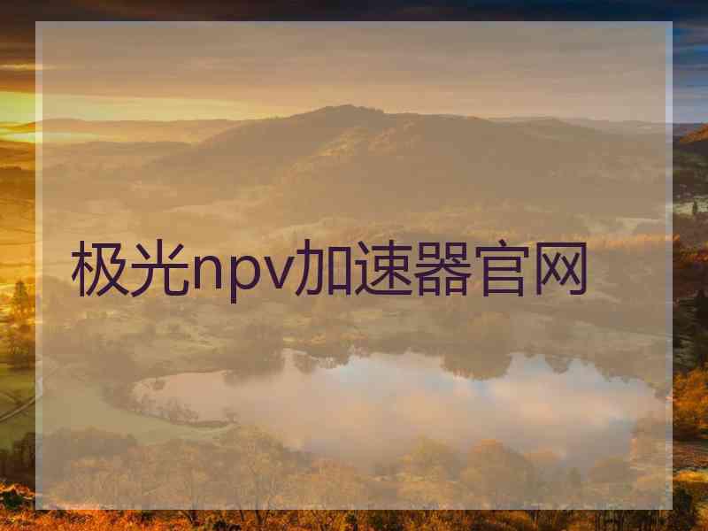 极光npv加速器官网