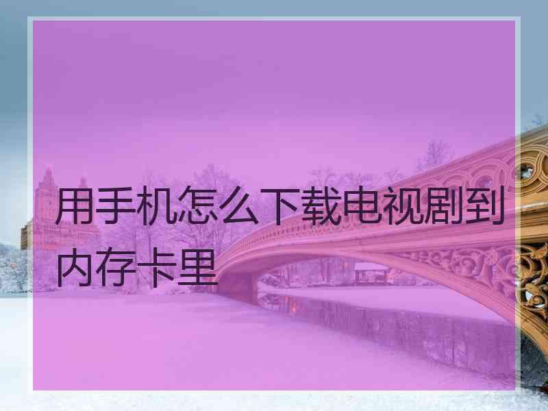 用手机怎么下载电视剧到内存卡里