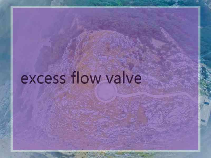 excess flow valve