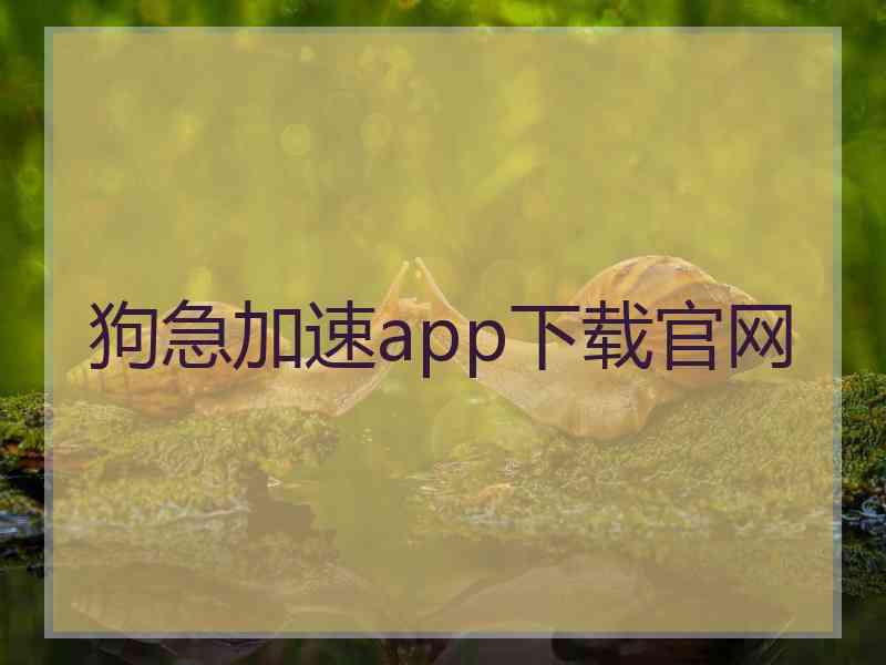 狗急加速app下载官网