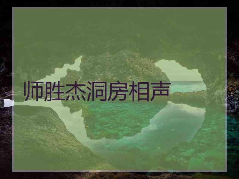 师胜杰洞房相声